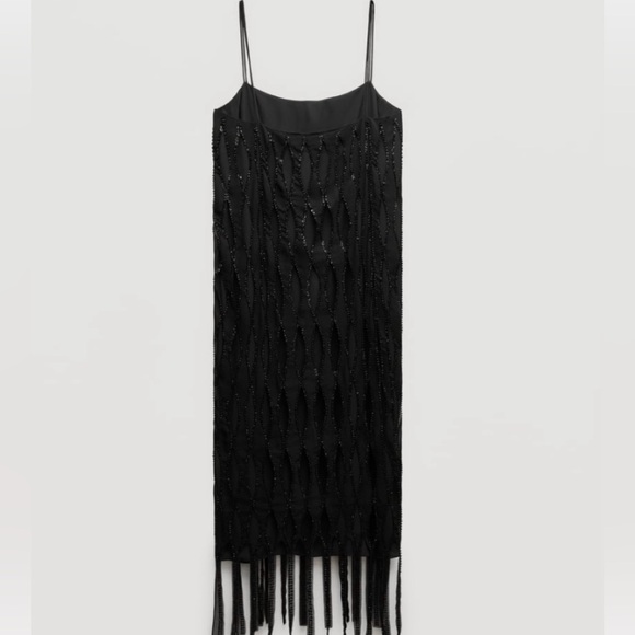 🔥NEW Zara Beaded & Fringe Dress - Picture 5 of 14